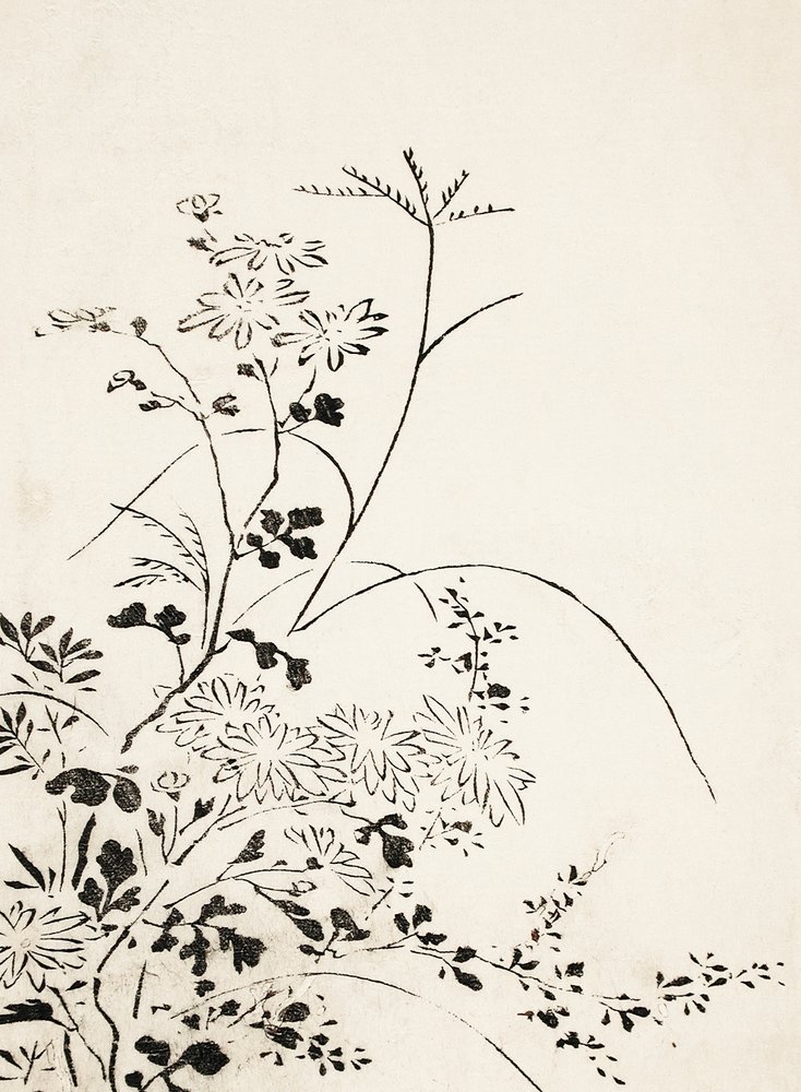 Flores e ervas de outono (1762) de Miyazaki Yuzen