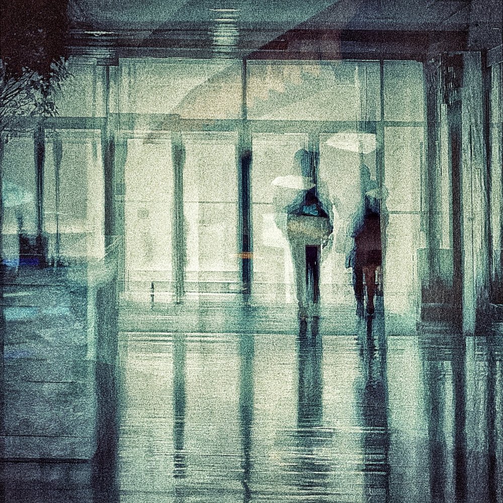 Reflexões num dia de chuva de Molly Fu APA