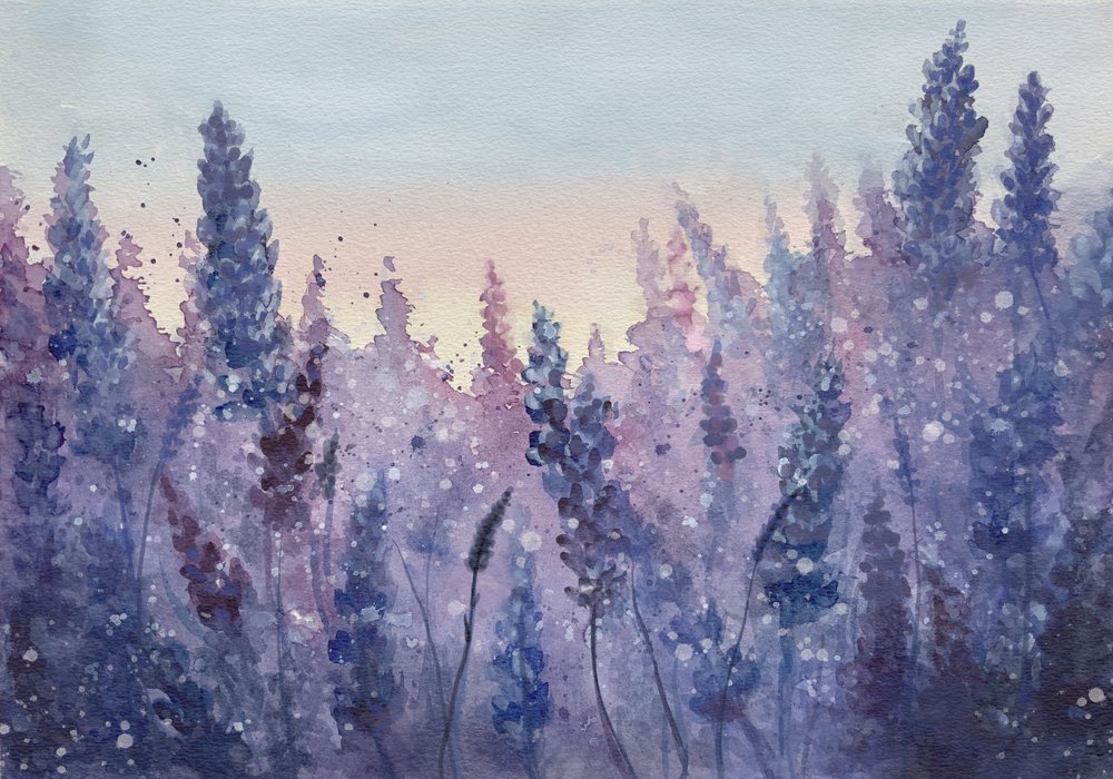 Brilho do Pôr-do-Sol Lavanda de Monica Lindblom