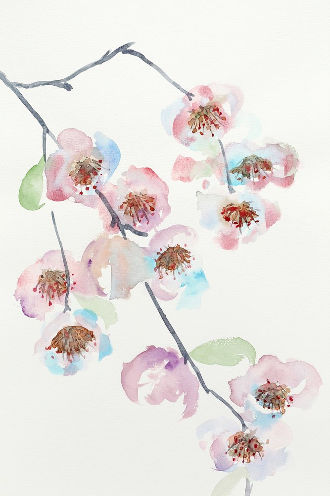 Delicadas flores cor-de-rosa de Natalie Bruns