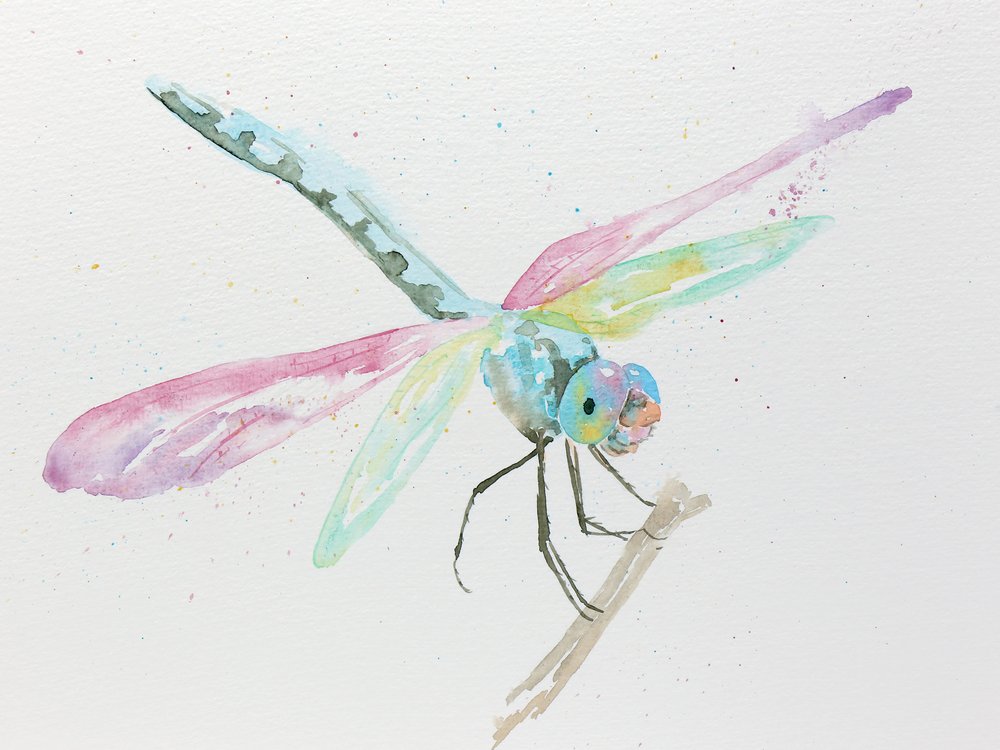 Libélulas num ramo em tons pastel de Natalie Bruns