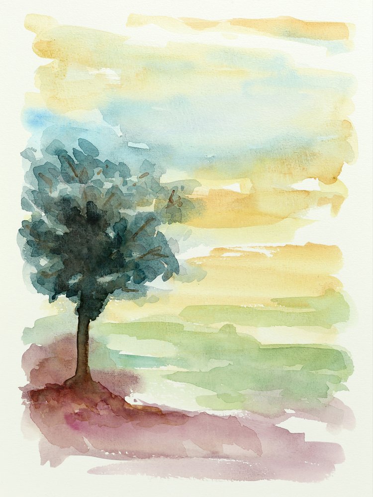 Pôr-do-sol em Lone Tree de Natalie Bruns