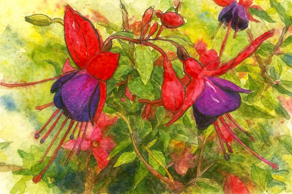 Flores fúcsia vibrantes de Natalie Bruns