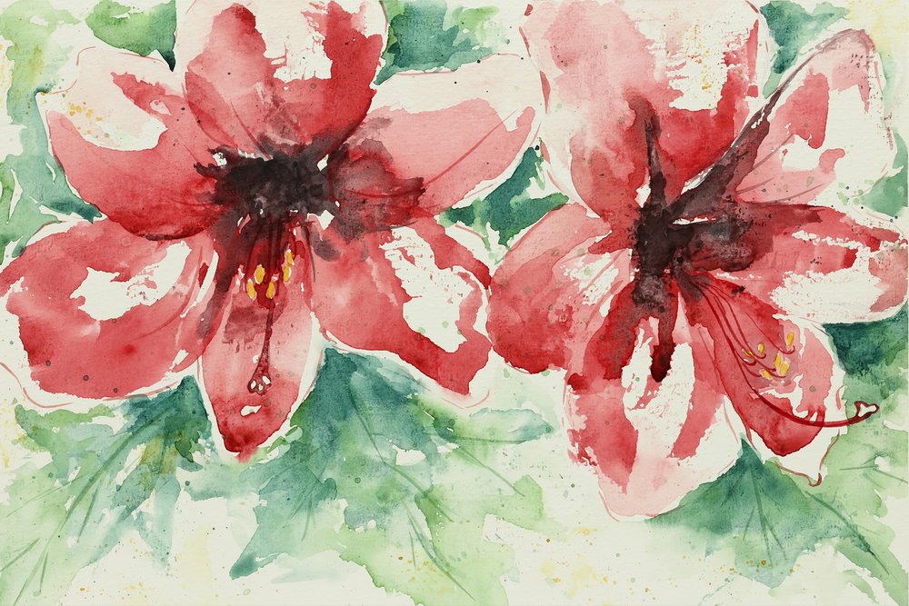 Flores vermelhas vibrantes de Natalie Bruns