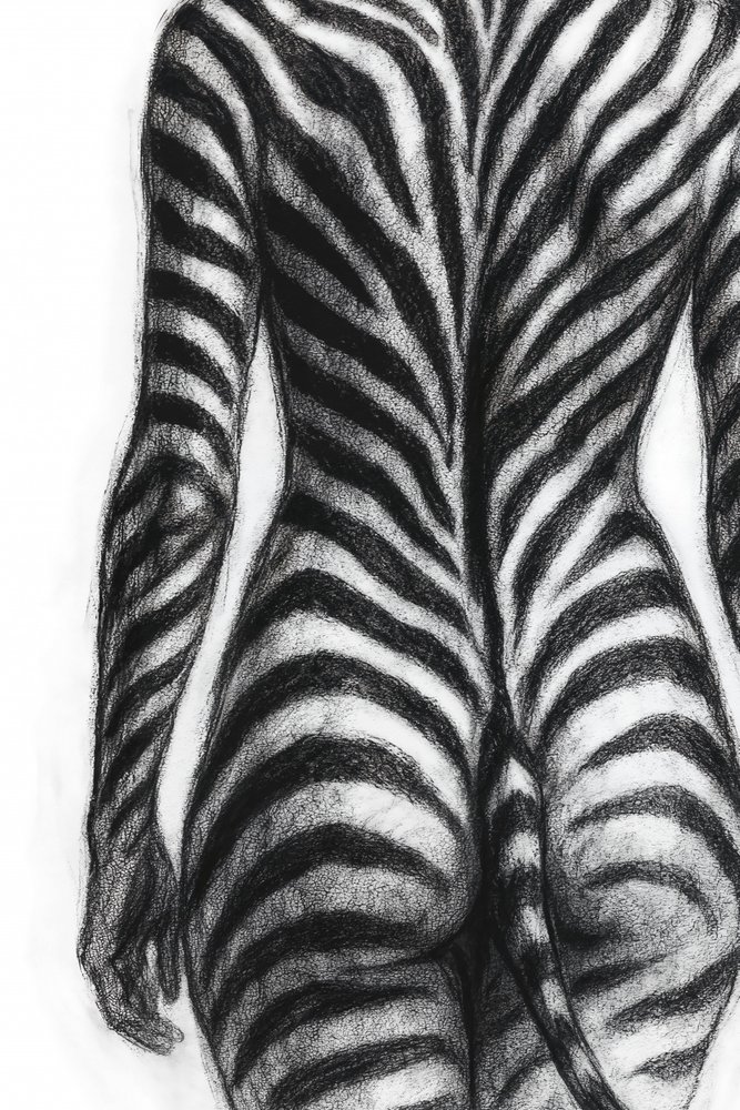 Formulário com riscas de zebra de Natalie Bruns