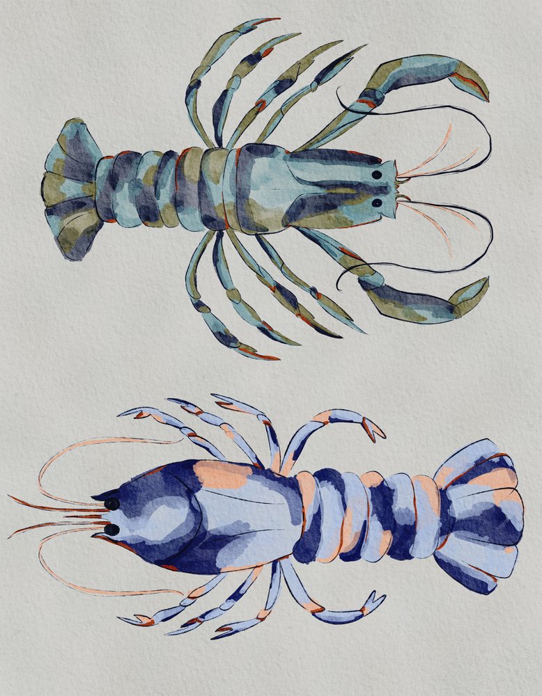 Aquarela «Lagostas Azuis» de Nikita Jariwala