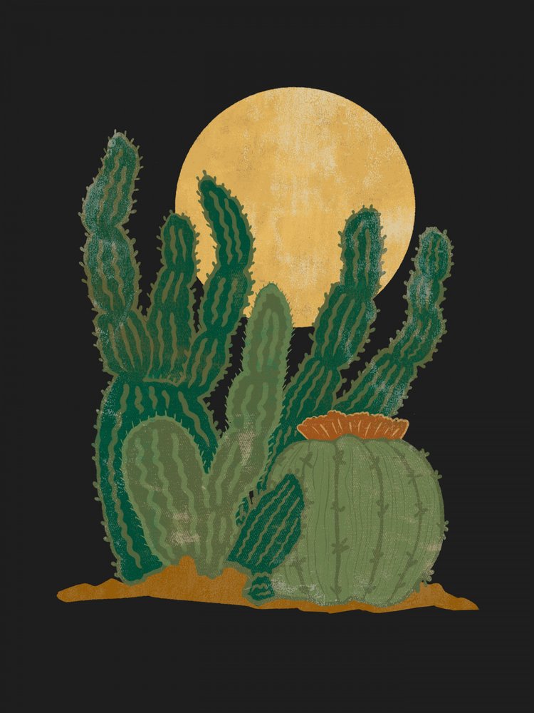 Cactos sob a Lua Dourada de Nikita Jariwala