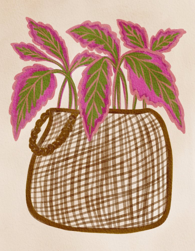 Planta colorida em vaso de Nikita Jariwala