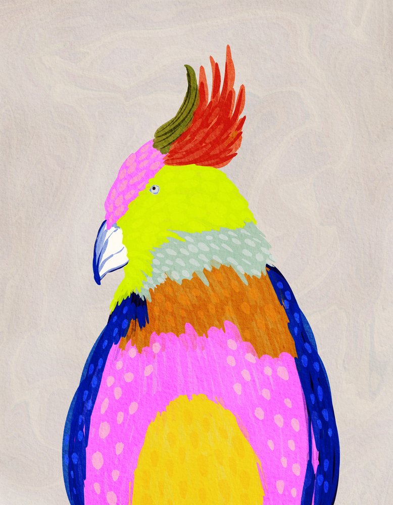 Papagaio tropical colorido de Nikita Jariwala