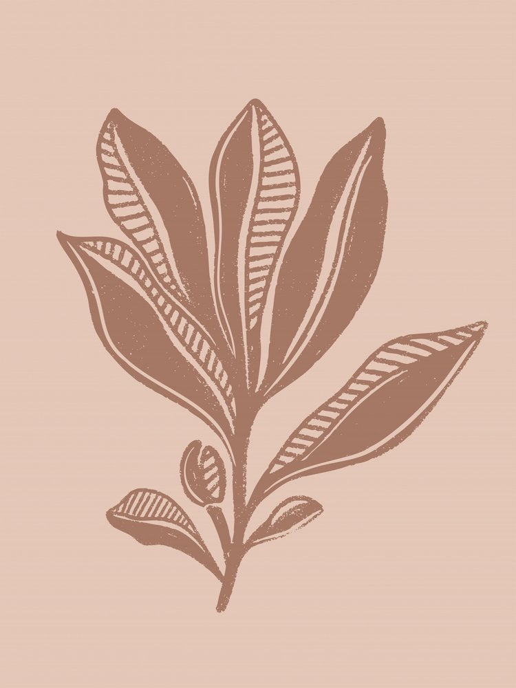 Desenho botânico natural de Nikita Jariwala