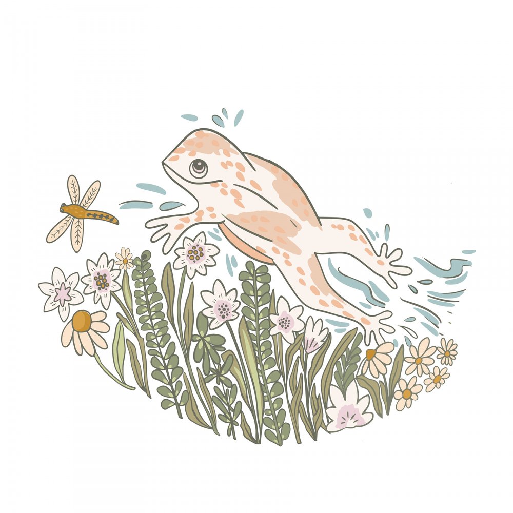 Sapo e flores caprichosos de Nikita Jariwala