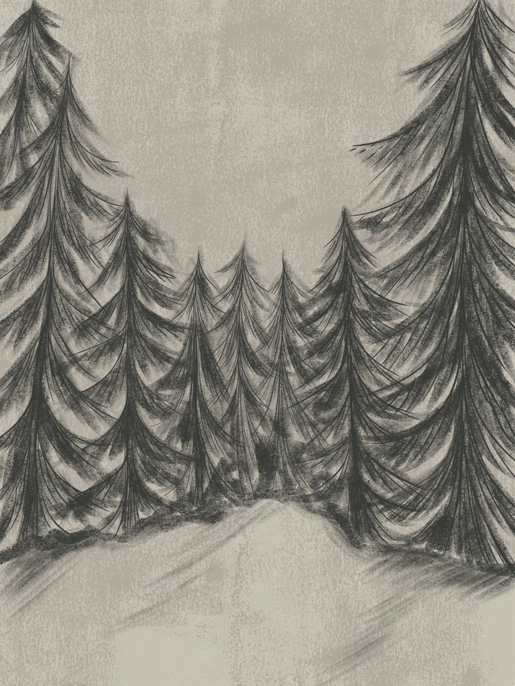Esboço de uma floresta de inverno de Nikita Jariwala