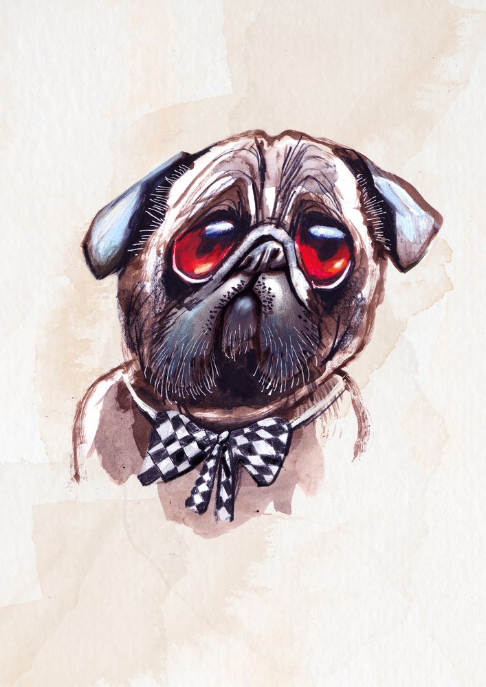 Pug melancólico de Olga Skomorokhova
