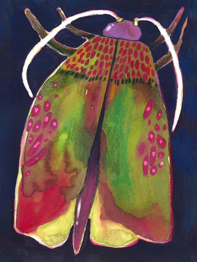 Traça de Olga Skomorokhova