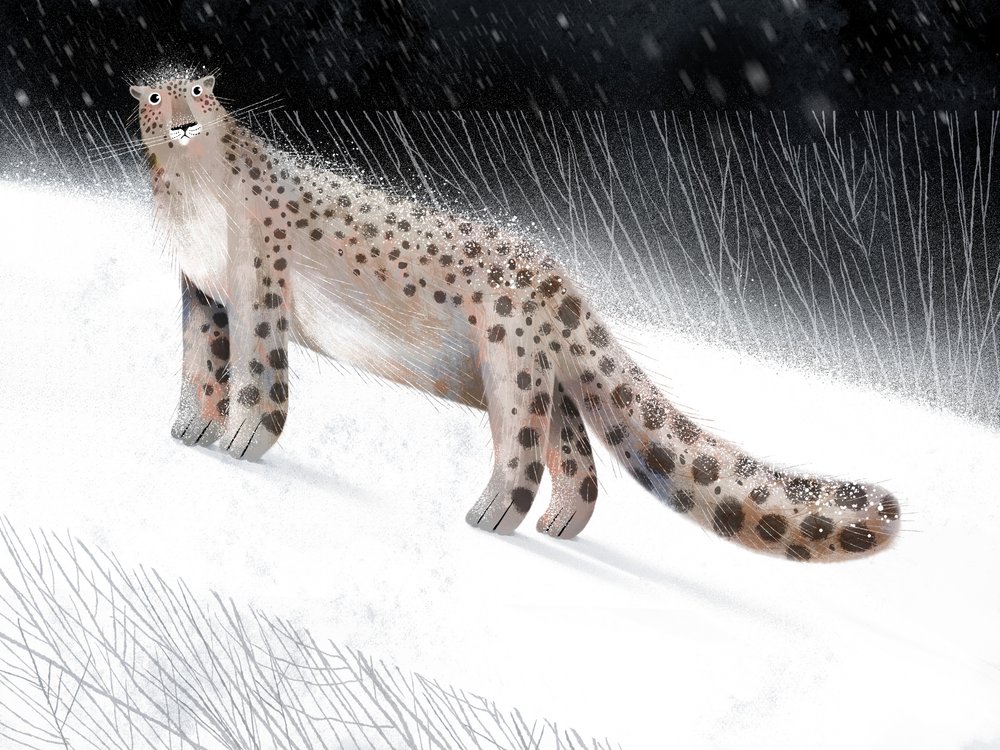 Noite de Inverno do Leopardo-das-neves de Olga Skomorokhova