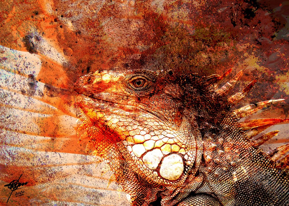 Retrato de uma iguana ardente de Osvaldo Russo
