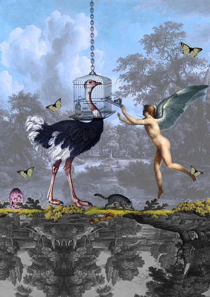 Sonho surreal de um anjo avestruz de Pascal Bouchet-Spiegel