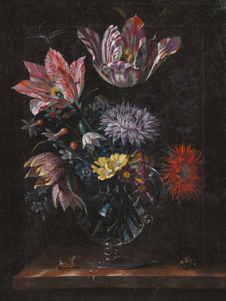 Desconhecido, por Jacob Marrel de Pictufy