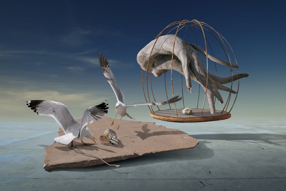 Gaivotas escapam de gaiola surreal de Radoslav Penchev