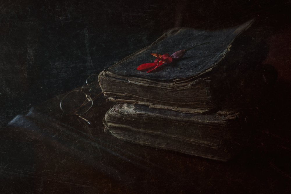 Livros Antigos Flor Vermelha de Ramiz Sahin
