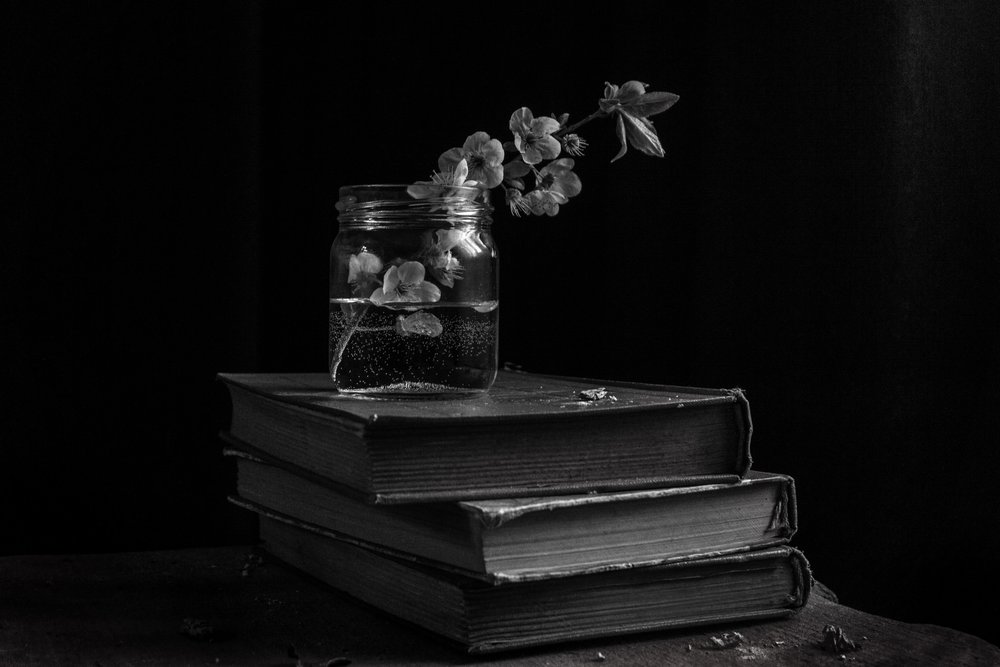 Moody Blooms sobre livros de Ramiz Sahin