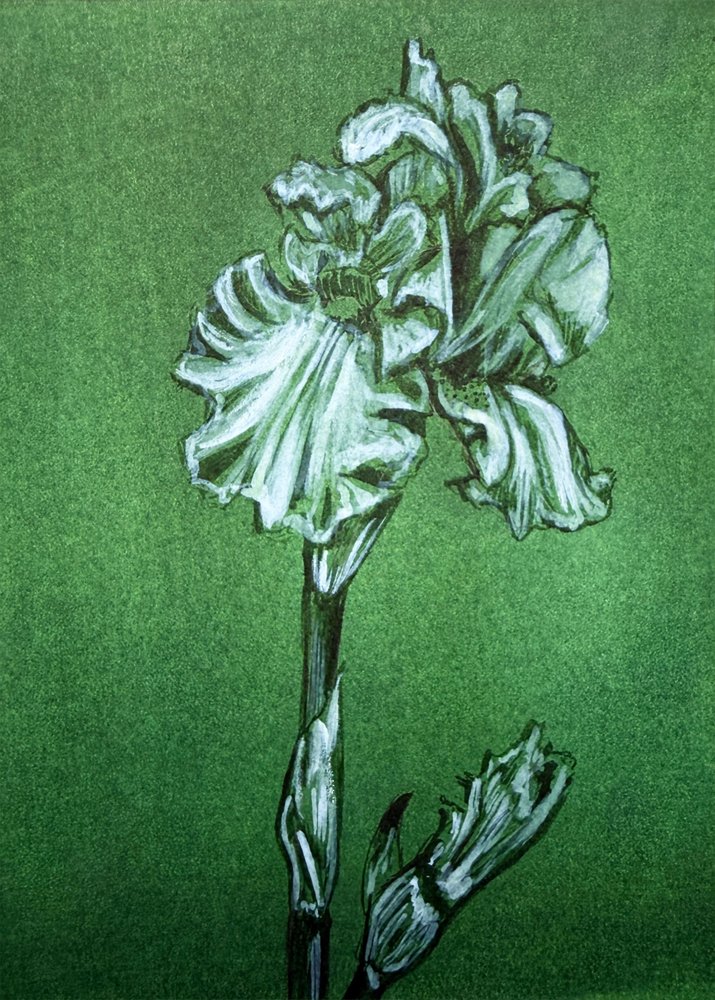 Elegante íris verde de Renee Machan Cottagecore Artist