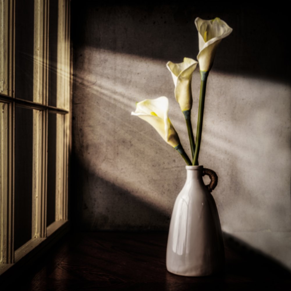 Luz de janela com lírios-de-calla de Rob Ryan