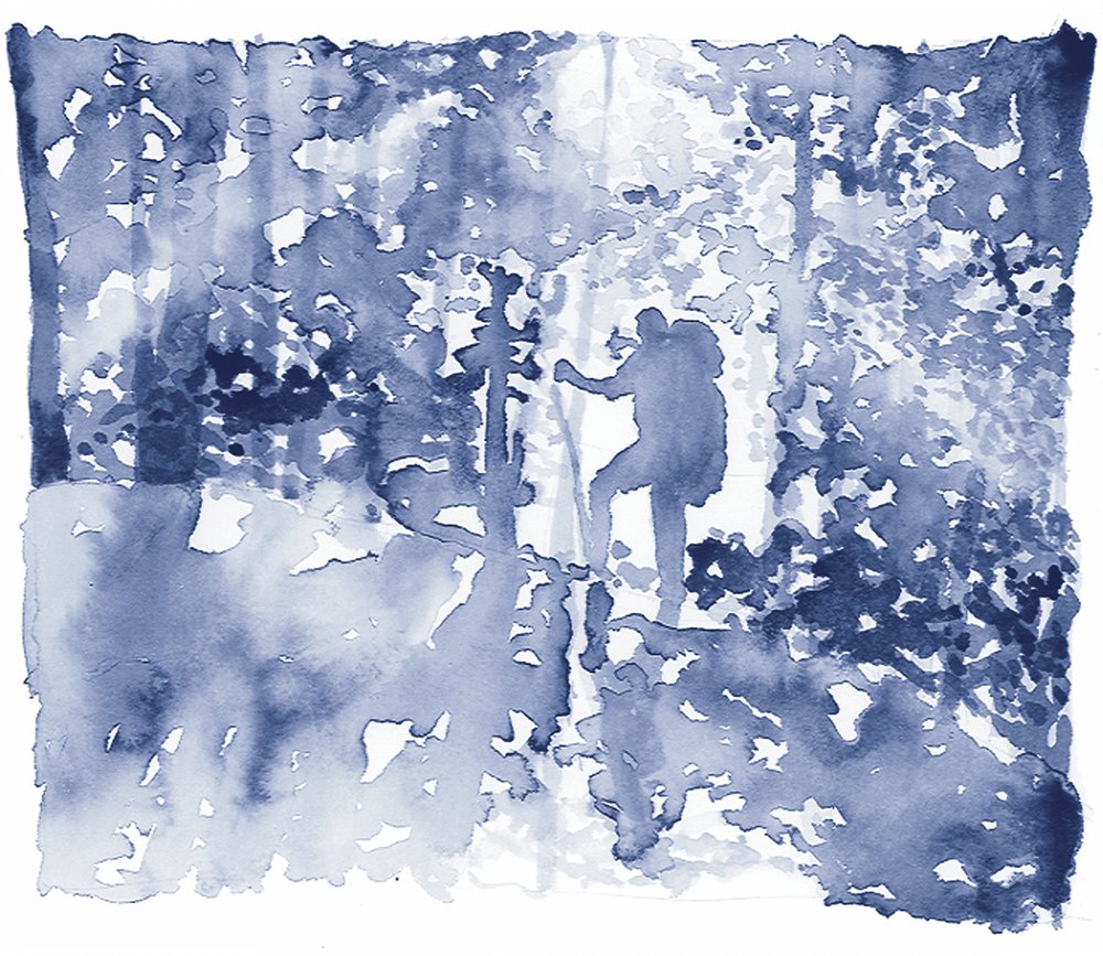O Caminhante da Floresta Azul de RodMacIver