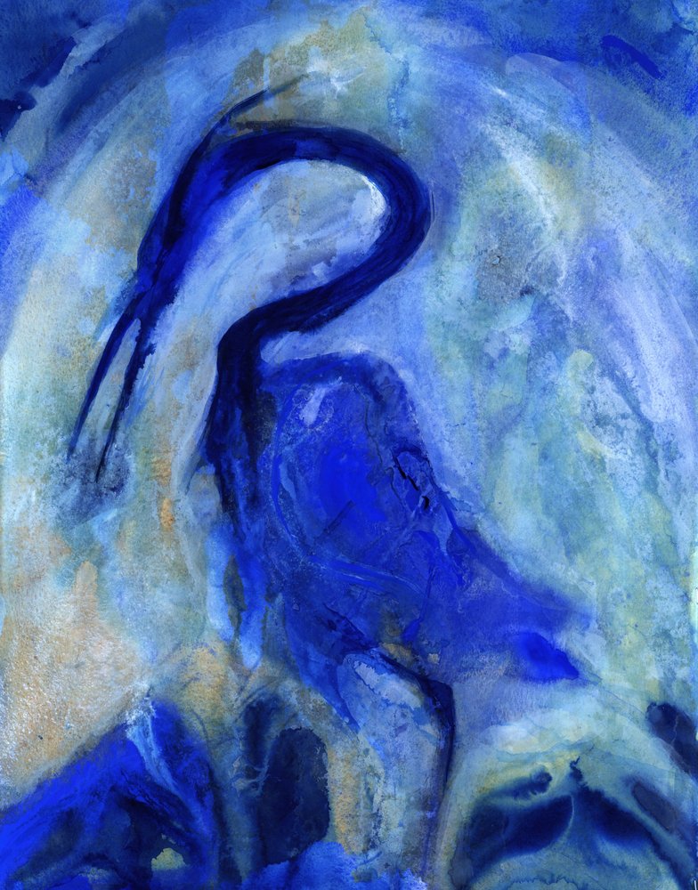 Garça-azul elegante de RodMacIver
