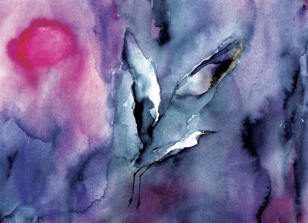 O Voo Etéreo do Pássaro Roxo de RodMacIver