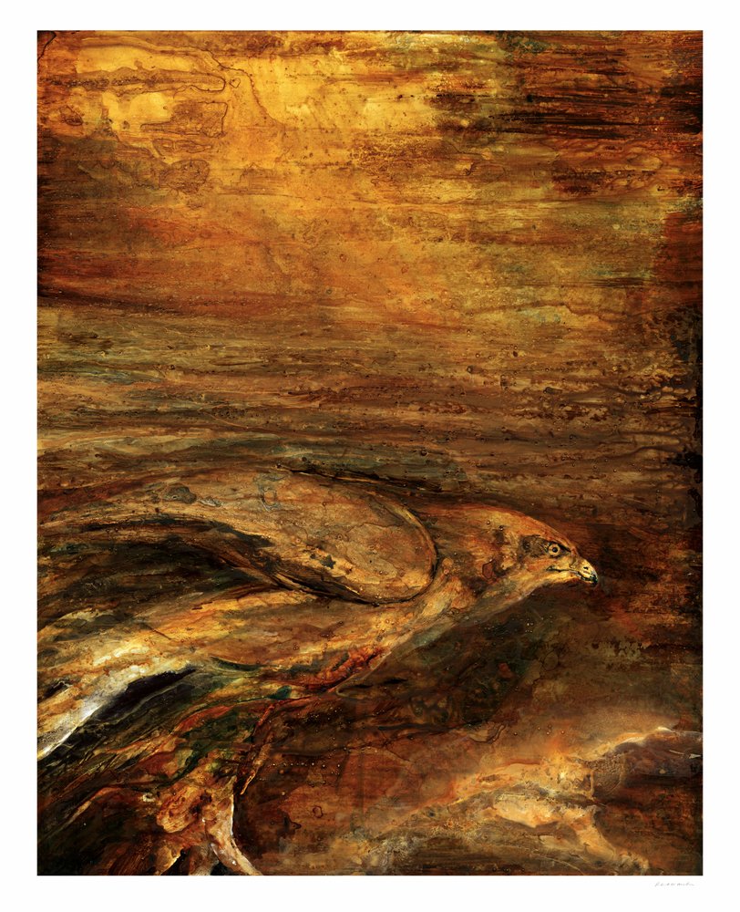  de RodMacIver