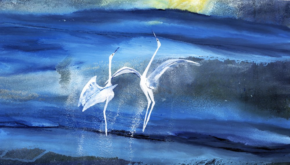 A dança graciosa da garça-branca de RodMacIver