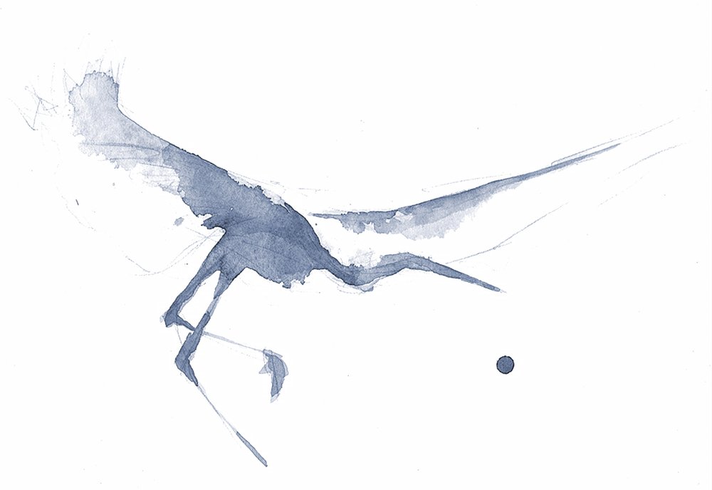 Garça em aquarela graciosa de RodMacIver