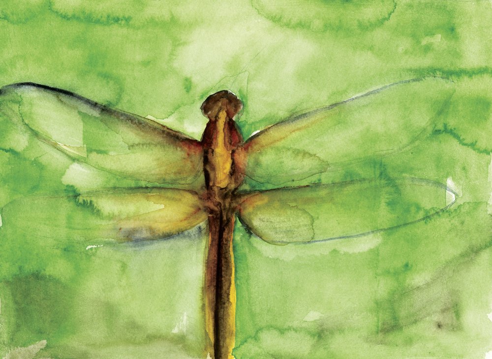 Libélula Verde em Aquarela de RodMacIver