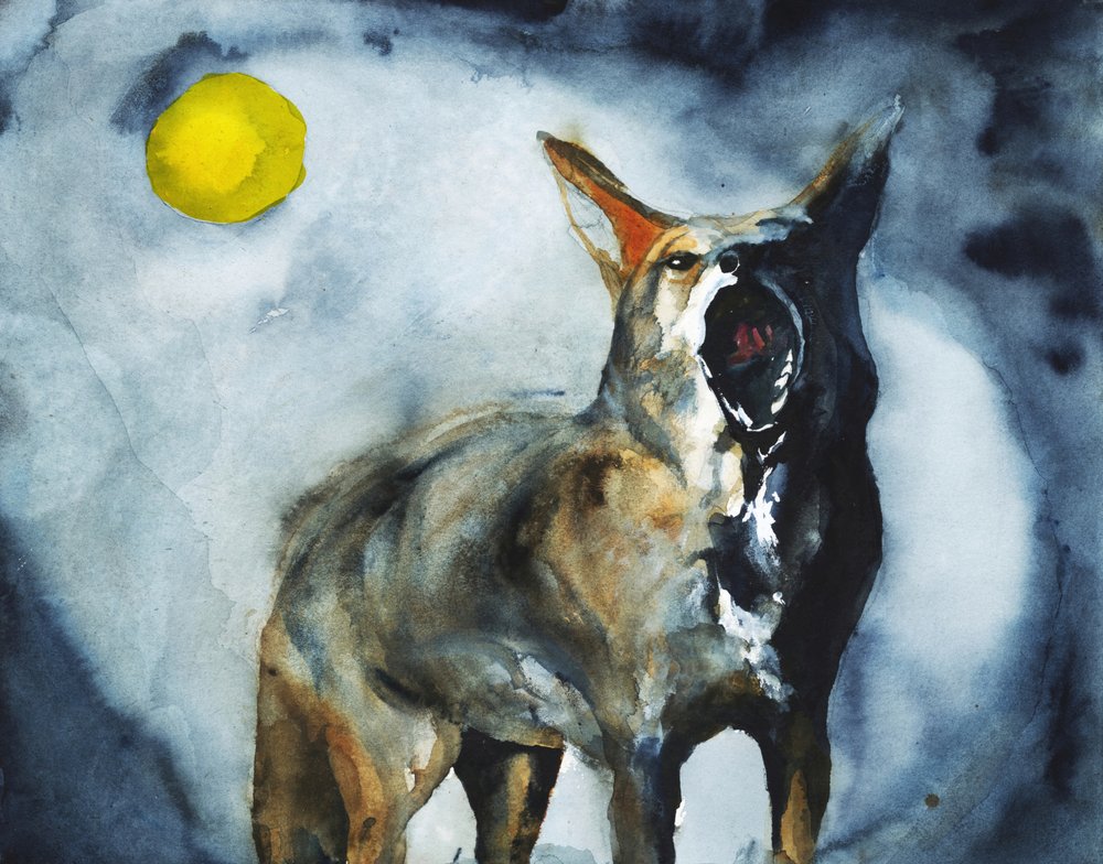 Lua do Coiote Uivante de RodMacIver