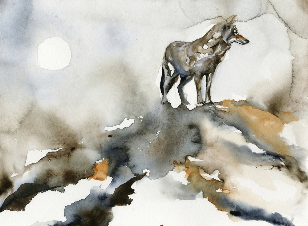 Lua do Lobo Solitário de RodMacIver