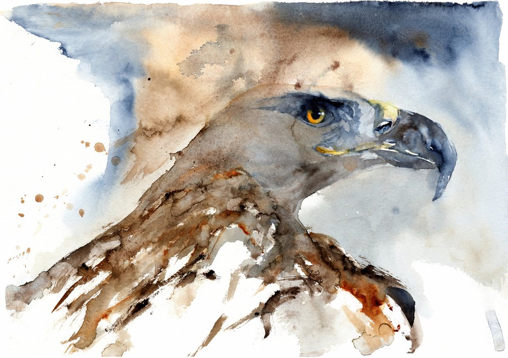 Águia Majestosa em Aquarela de RodMacIver