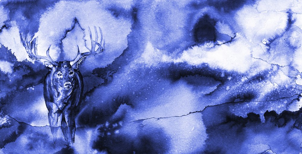 O Veado Azul Místico de RodMacIver