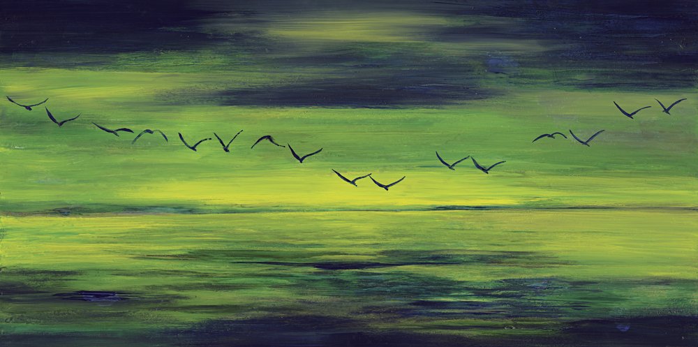  de RodMacIver