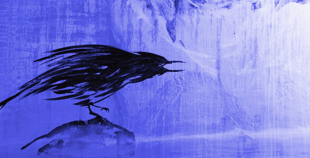 Corvo Azul Tempestuoso de RodMacIver