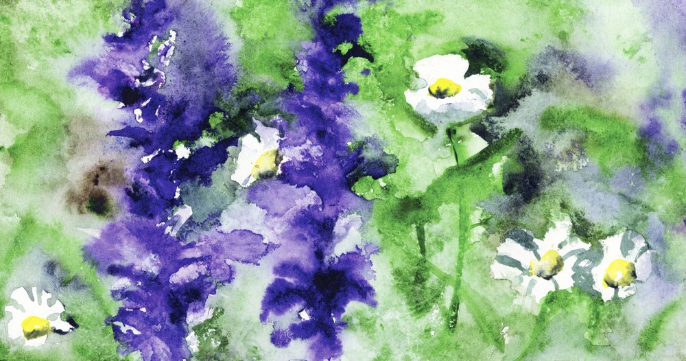 Flores de jardim coloridas de RodMacIver
