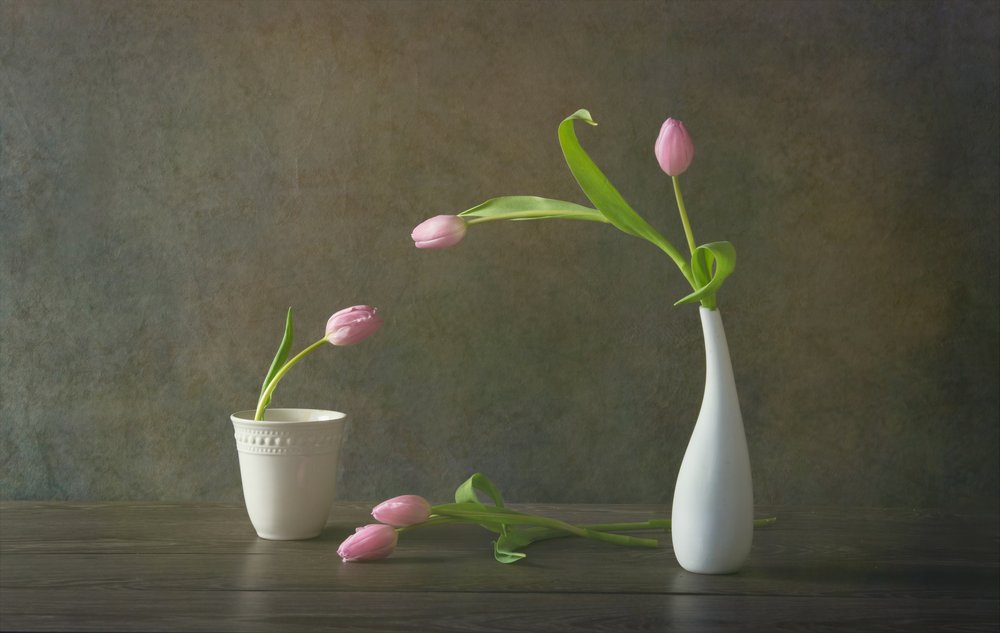 Natureza morta com elegantes tulipas cor-de-rosa de Rong Wei