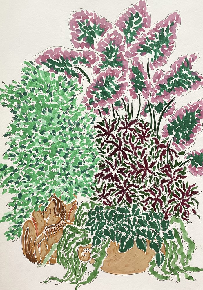 Plantas em vaso cheias de vida de Rushati Chowdhury