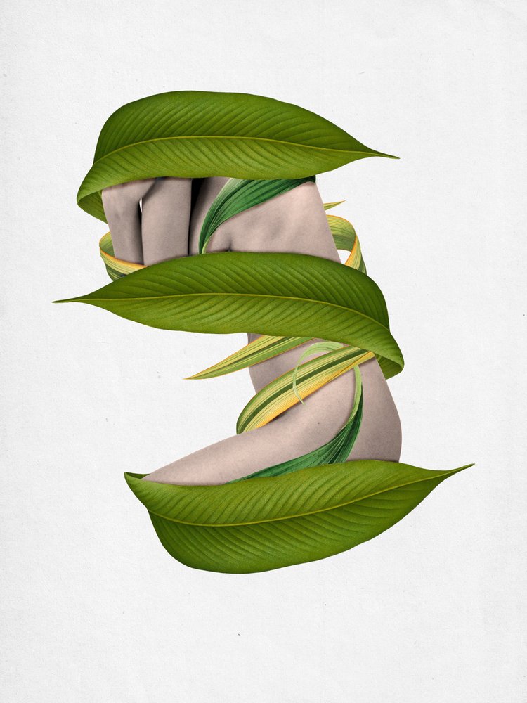 Corpo envolto na natureza de Sammy Slabbinck