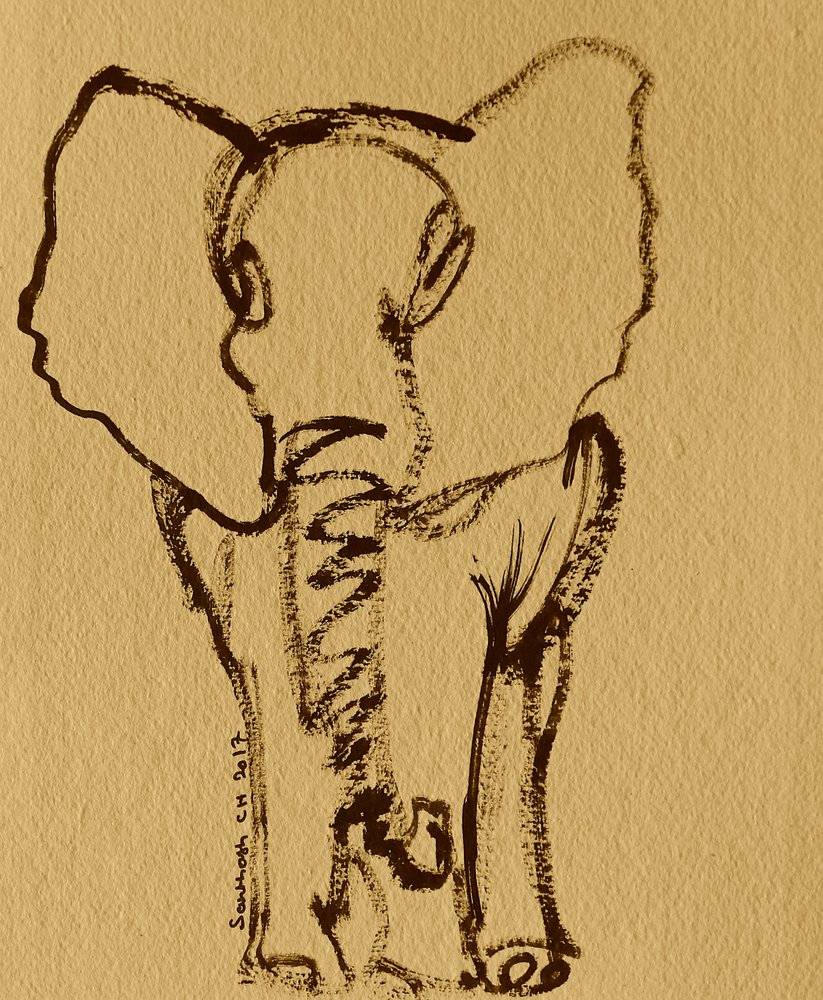 Esboço de um elefante bebé de Santhosh ch
