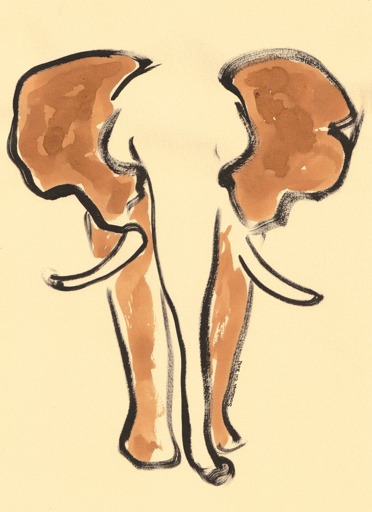 Retrato de elefante castanho de Santhosh ch
