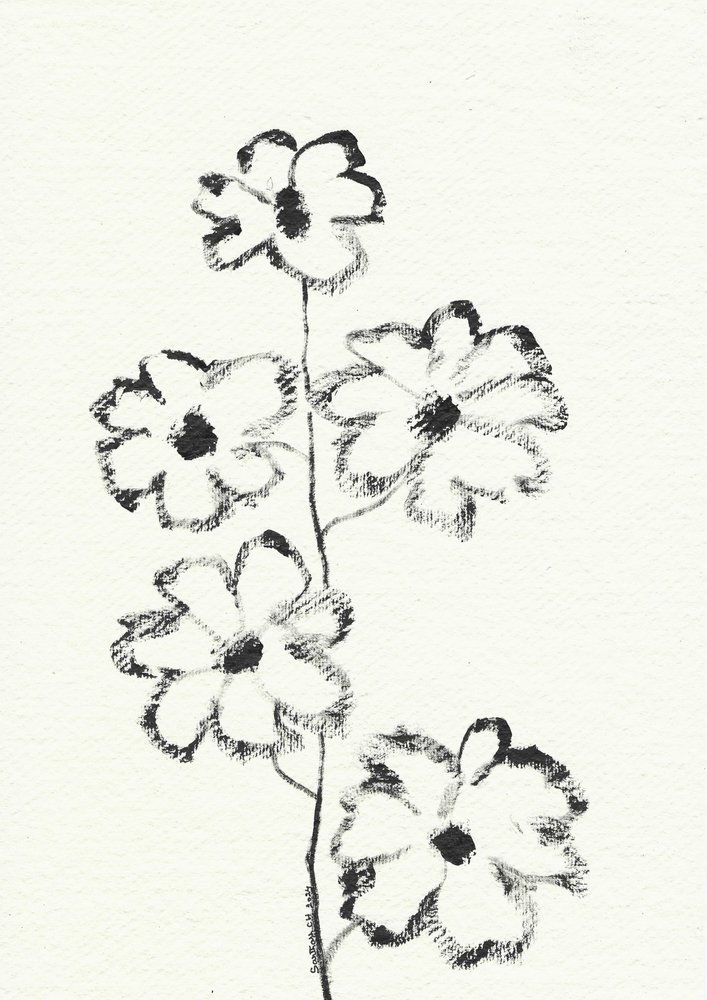 Esboço de flor a carvão de Santhosh ch