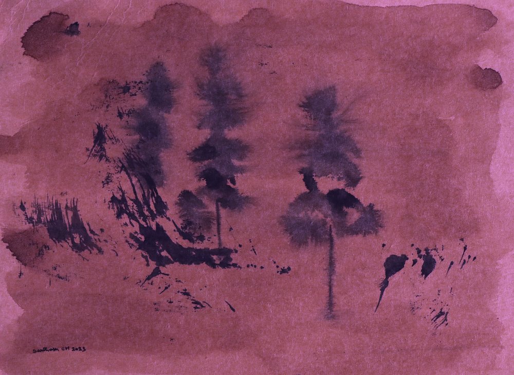 Paisagem florestal escura de Santhosh ch