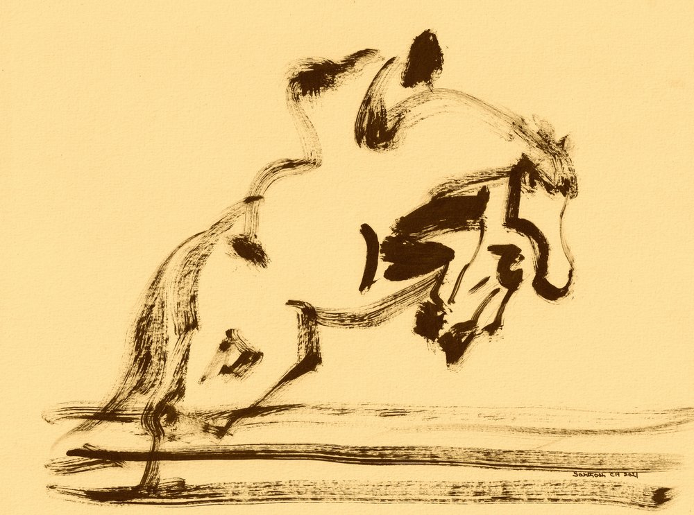 Salto equestre dinâmico de Santhosh ch
