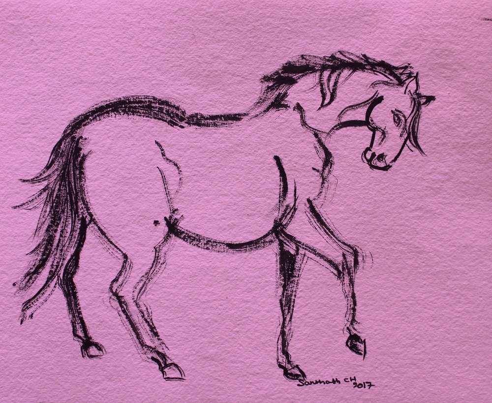 Contorno dinâmico de cavalo de Santhosh ch